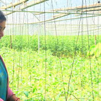 आरुघाट-लार्के भञ्ज्याङ सडक दुई हप्तादेखि अवरुद्ध