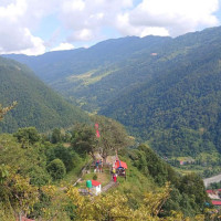 हराए गोरु, हरायो हलो