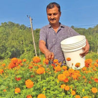 भारतीय पर्यटकको रोजाइमा कालीदह–ककरहवा नाका