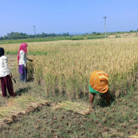 पर्यटन उद्योगको विकासका लागि हरसम्भव सहयोग हुने प्रधानमन्त्रीको प्रतिबद्धता