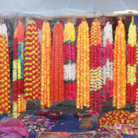 सगरमाथा निकुञ्ज