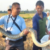 बेनीघाट-आरुघाट-लार्के सडकको पाङसिङसम्म सडक सुचारु