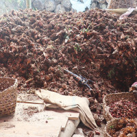 दुर्गमकी चेली : भरियादेखि ट्रेकिङ कम्पनीको मालिकसम्म