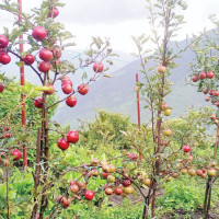 सदन प्रक्रियामुखी नभई कार्यमुखी र परिणाममुखी हुनुपर्छ : नेत्री श्रेष्ठ