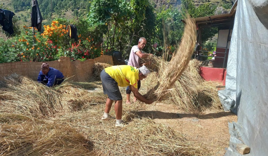 वृषभानुको चिनो  जनकपुरको नौलखा मन्दिर
