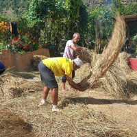 बजेट पारित