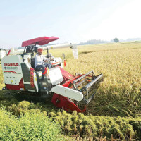 इन्धन भण्डारण : मधेशमा धेरै, कर्णालीमा न्यून
