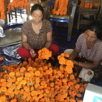 मनाङका विद्यालय खुल्न थाले