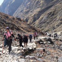 रोजगारी अवसर उपलब्ध गराउन स्टार्टअप कार्यक्रम