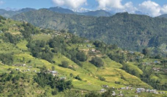 समावेशीकरणको दिशामा नयाँ फड्को : गोरखापत्रद्वारा प्रकाशित तामाङ भाषा