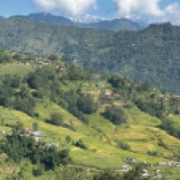 थारु भाषा