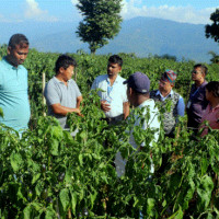 पूर्वअतिरिक्त सचिव मिश्रासहित चौधविरुद्ध भ्रष्टाचार मुद्दा