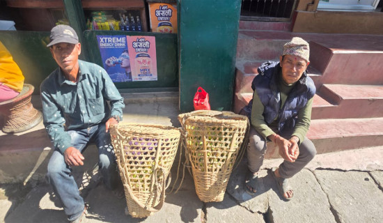 चिउरीको पात र अम्बा बेचेर तिहार खर्चको जोहो