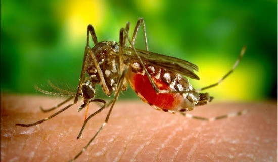 स्वास्थ्य तथा जनसङ्ख्या मन्त्रालयका लागि ८६ अर्ब २४ करोड विनियोजन