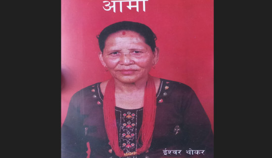 योजना बैङ्क नहुँदा स्थानीय तहमा उपलब्धि न्यून