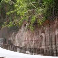 नेपाली भाषामा ‘राजमती’