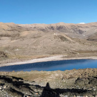 भुइँ ऐँसेलुको व्यावसायिक खेती