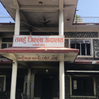 धान काट्न मजदुरको सट्टा रिपर मेसिन !