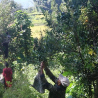 विश्वकपका लागि तयारी गर्दै सन्दीप