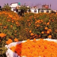 खोलामा डुबेको बालकको शव फेला