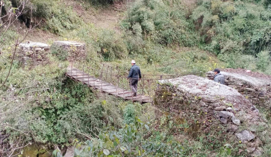 बागलुङमा कति छन् झोलुङ्गे पुल ?
