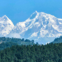 तीन महिनामा चार करोड ३९ लाख जरिवाना, ९५ को मृत्यु