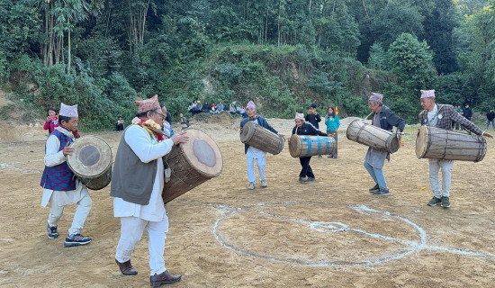 पोखरामा जुवा खेलिरहेका २० जना पक्राउ