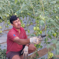राजनीतिक संवादले निर्वाचनको माहोल बनेको छ : सञ्चारमन्त्री खरेल