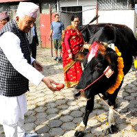 दसैँको सन्देश