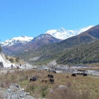 ग्रामीण सडक स्तरोन्नति हुन नसक्दा जोखिमपूर्ण यात्रा
