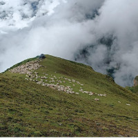 कृषिमार्फत आर्थिक समृद्धि