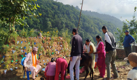 कृषिमार्फत आर्थिक समृद्धि