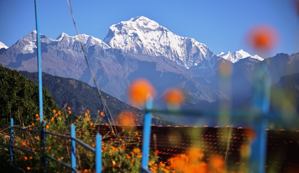 फूलसँगै देखिँएको धौलागिरि हिमाल