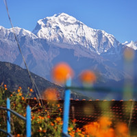 कोहलपुरमा क्यान्सर अस्पताल निर्माण सुरु