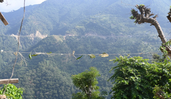 जलवायु परिवर्तनको प्रभावः सङ्कटमा चौँरी खर्क