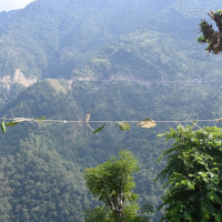 चितवनमा सवारी दुर्घटना : २० जना घाइते