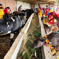 गृहमन्त्री लेखक र भाजपा विदेश विभाग प्रमुख चौथाईवालेबिच भेटर्वार्ता