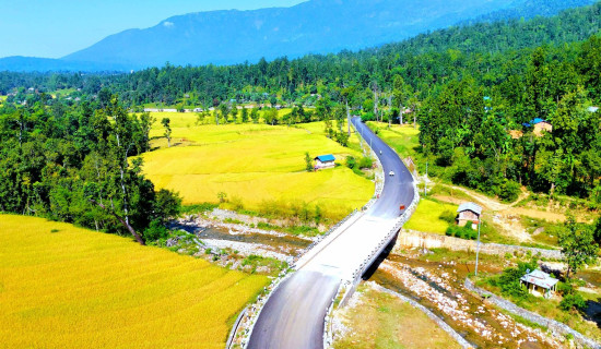 कालोपत्रे सडक र धानखेतीको सुन्दरता