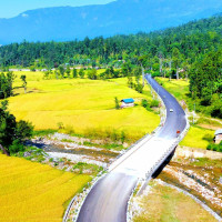 घाँस काट्न गएकी एक महिलाको मृत्यु