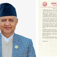 उड्न खोज्दा घाइते हुन्छन् गिद्धका बचेरा