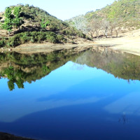 मौरीपालनबाट वार्षिक ३५ लाख आम्दानी