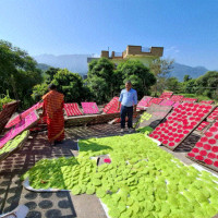 गैँडाको आक्रमणबाट एकको मृत्यु