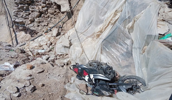 कालिगण्डकी बगरमा स्याउखेती