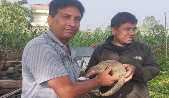 नेपालगञ्जमा अनिश्चितकालीन कर्फ्यु