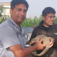 पूर्वाधार विस्तारसँगै प्रसिद्ध हम्पाल लेकमा पर्यटकको आगमन बढ्यो