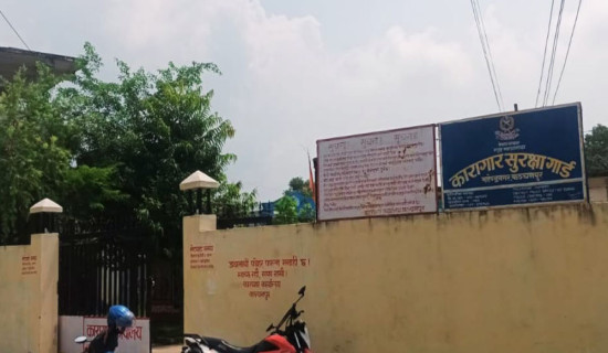 कञ्चनपुर कारागारमा कैदीलाई भाइटीका लगाउने अवसर