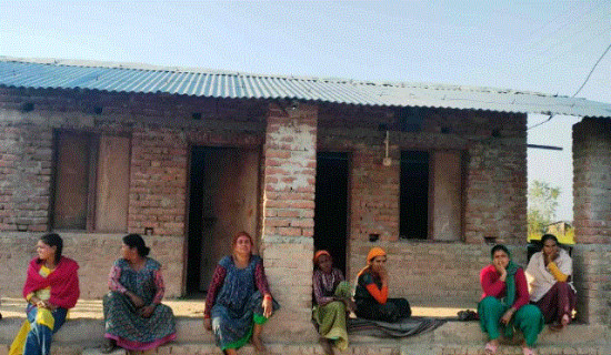 गुन्यालफाँटाको बादी बस्तीमा छैन तिहारको रौनक