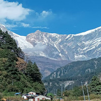 शिक्षाविद् कहलिन विद्यावारिधि अनिवार्य