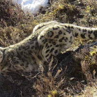 आगामी आवमा खेलकुद मन्त्रालयको बजेट बढाइदिनुस् : खेलकुदमन्त्री