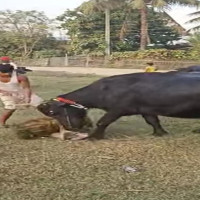 प्रदेश १ मा चुनावी सरगर्मी बढ्दै : उम्मेदवारद्वारा घरदैलोलाई तीव्रता